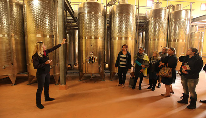 Hunter Valley Wine Tasting Day Tour7