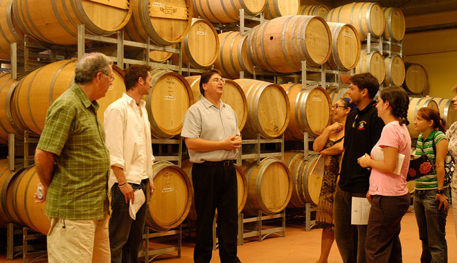 Hunter Valley Wine Tasting Day Tour8