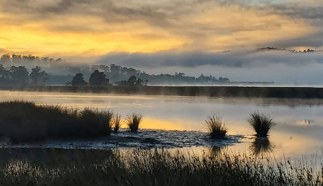 Huon Valley 559