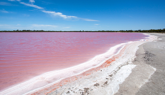 Pink water of salt lake