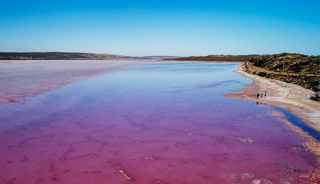 Hutt Lagoon Pink Lake Flight2