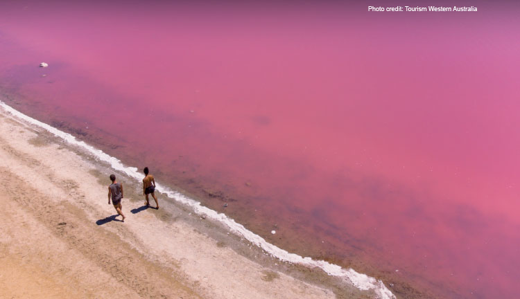 Hutt Lagoon Tourism Western Australia 4