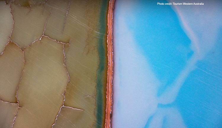Hutt Lagoon Tourism Western Australia 5