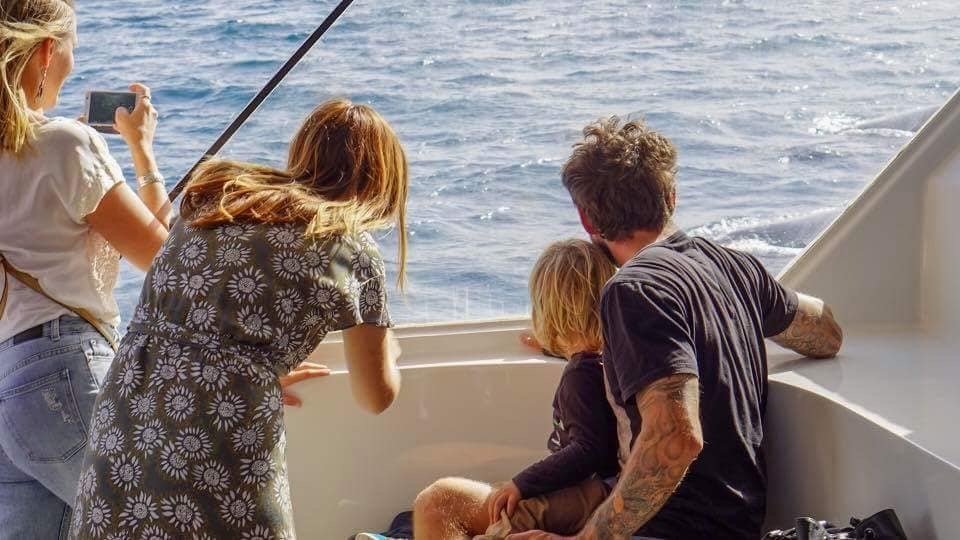 Luxury Sunset Broadwater Cruise Gold Coast