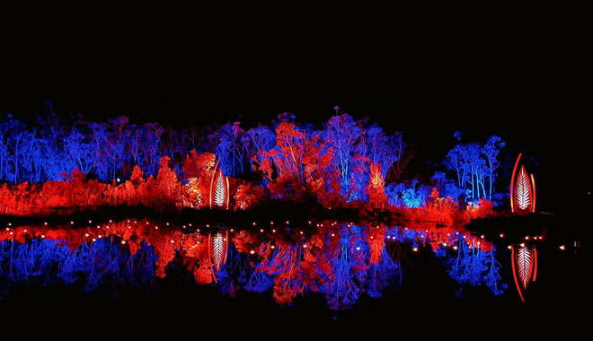 Illumina+light+show 009