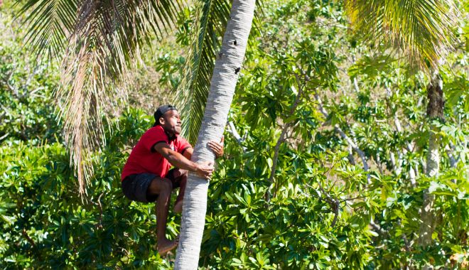 Inclusive Packages Learn To Dive (3)