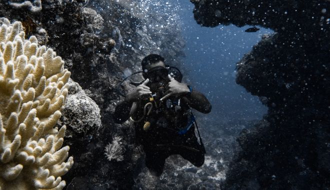 Inclusive Packages Learn To Dive (6)