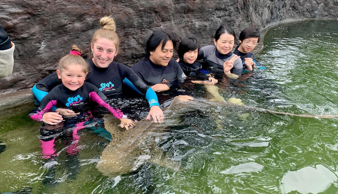 Irukandji Shark Ray Encounters 006