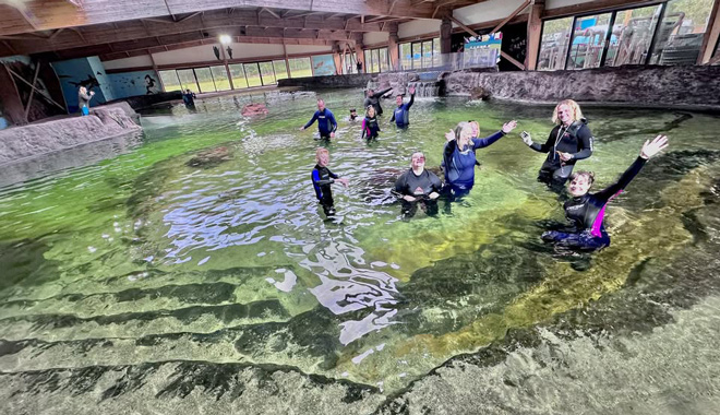 Irukandji Shark Ray Encounters 020