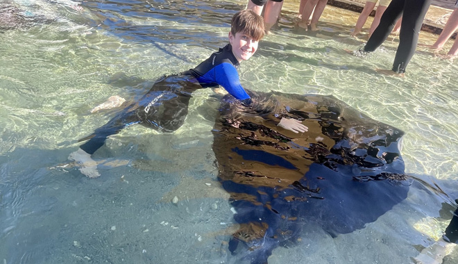 Irukandji Shark Ray Encounters 025