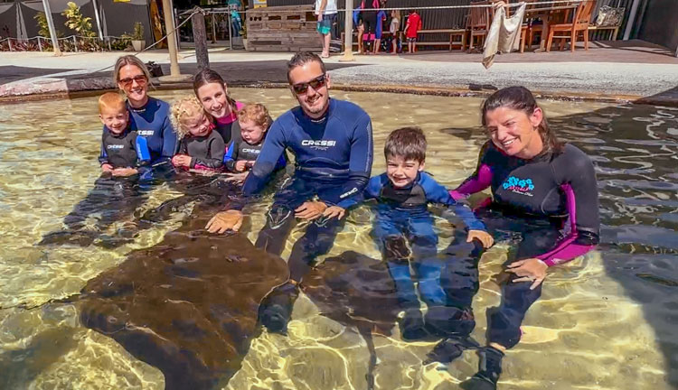 Irukandji Shark & Ray Encounters1