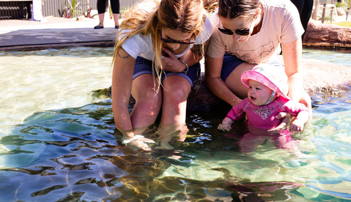 Irukandji Shark & Ray Encounters2