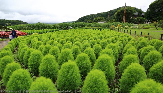 JP Oishi Park 大石公園 FLICKR 28350859544 6e4e0fe9a8 o Dal Lu 660X380