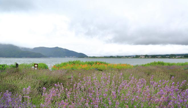 JP Oishi Park 大石公園 FLICKR 28937517246 1c2c34db24 o Dal Lu 660X380