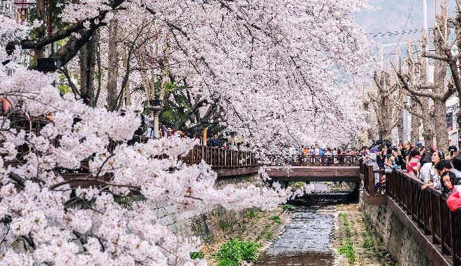 JP00001 123RF Philosopher's Path 1