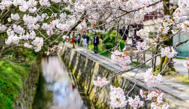 JP00001 123RF Philosopher's Path