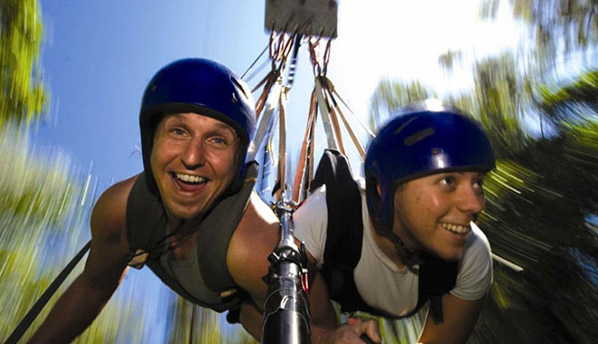 Jungle Swing 6
