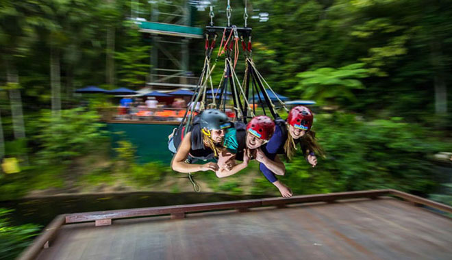 Jungle Swing 7 1