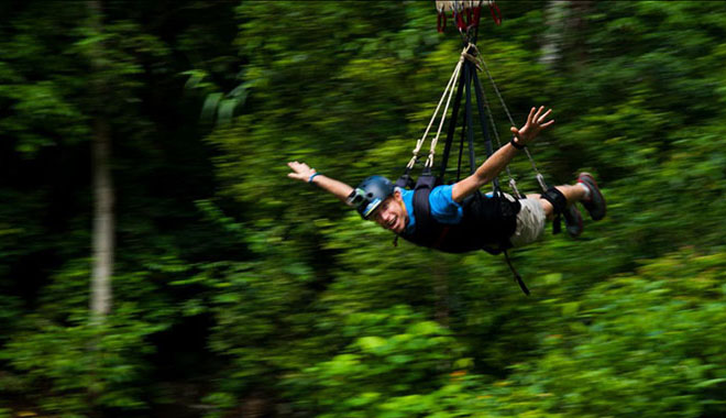 Jungle Swing 8