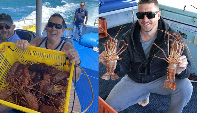 Jurien Bay Rock Lobster4