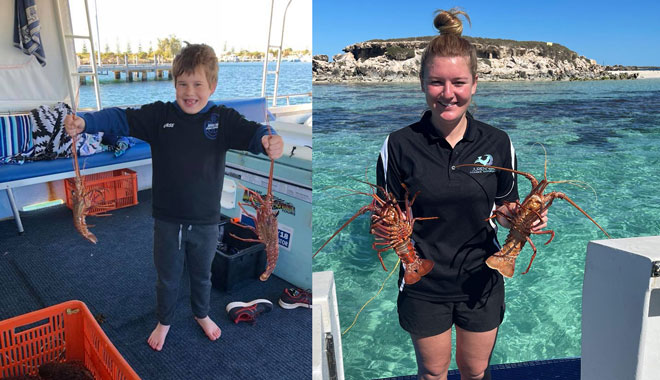 Jurien Bay Rock Lobster5