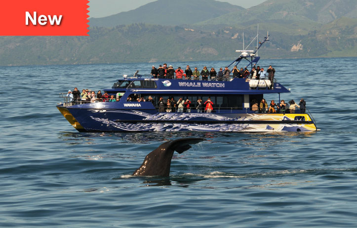 Kaikoura