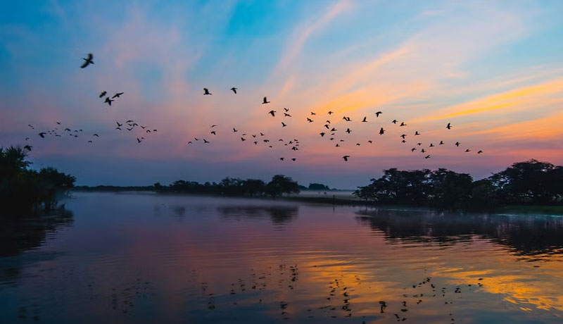 Kakadu National Park Full Day Tour Yellow Water River Cruise 051
