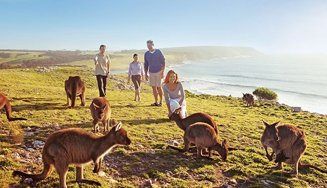 Kangaroo Island 9