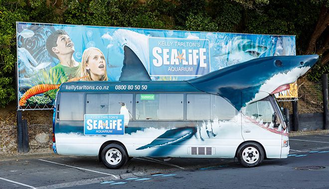 Kelly Tarltons Sea Life Aquarium 11