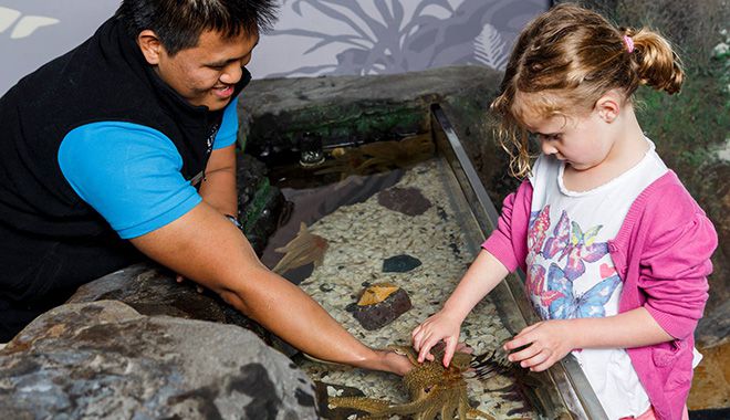 Kelly Tarltons Sea Life Aquarium 12
