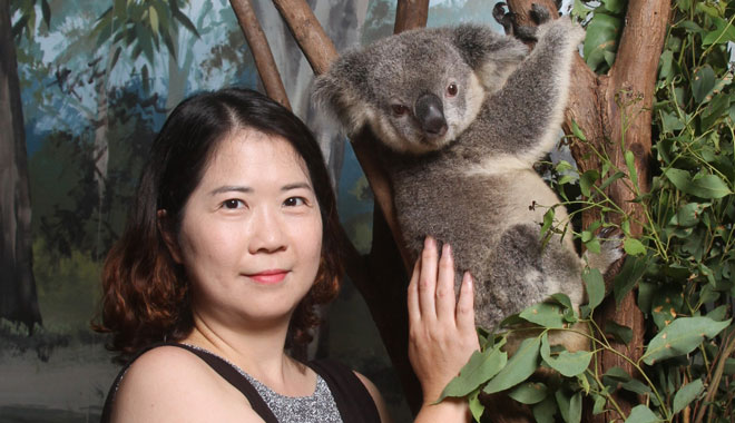 Koala pat photos web Dream world