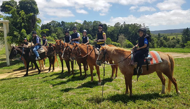 Kur Cow Barnwell Farm1