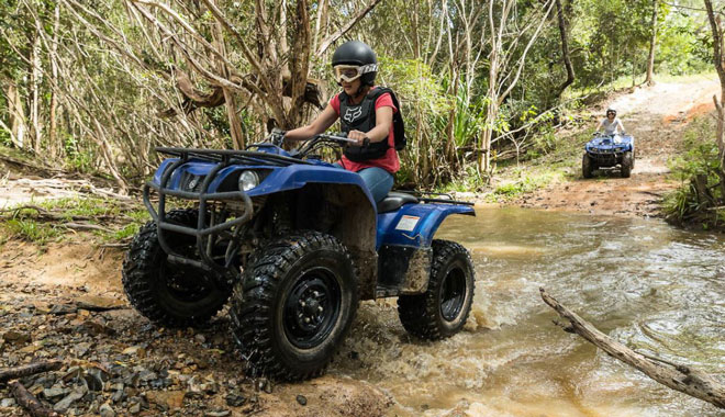 Kur Cow Barnwell Farm3