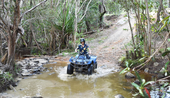 Kur Cow Barnwell Farm4