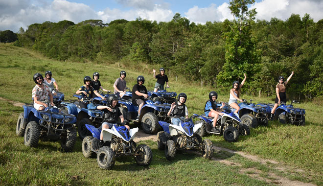 Kur Cow Barnwell Farm6