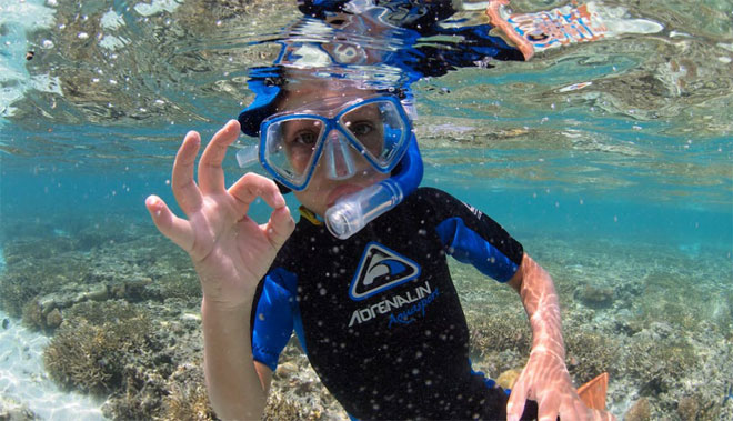 Lady Elliot Island 1