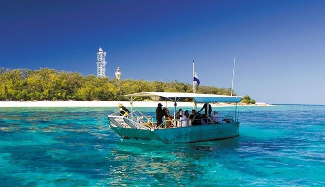 Lady Elliot Island 15