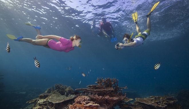 Lady Elliot Island 2