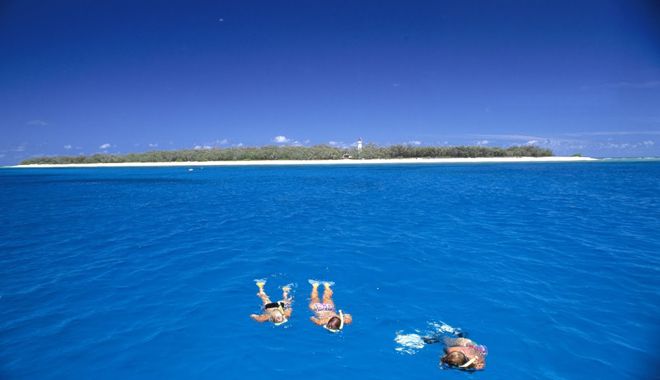 Lady Elliot Island 6