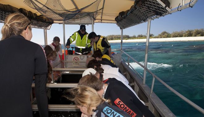 Lady Elliot Island 9