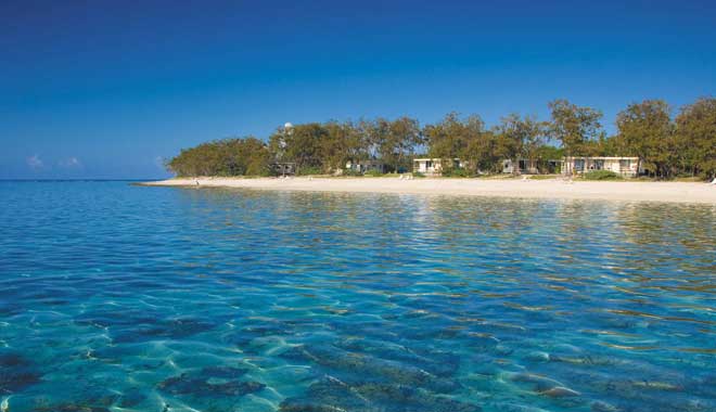 Lady Elliot Island Eco Resort Great Barrier Reef 1