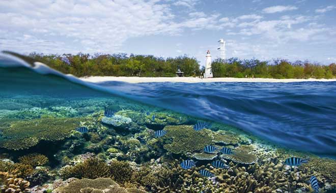 Lady Elliot Island Eco Resort Great Barrier Reef 3