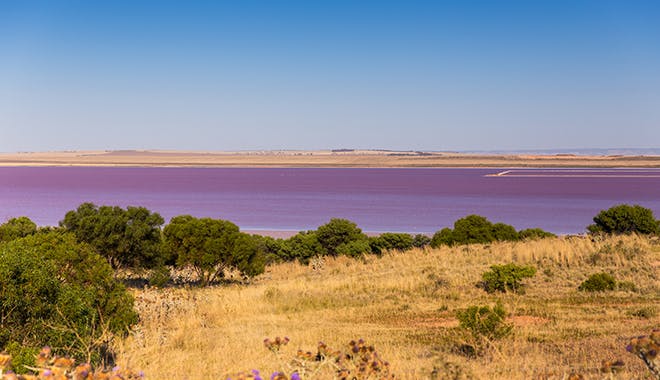Lake Bumbunga 3