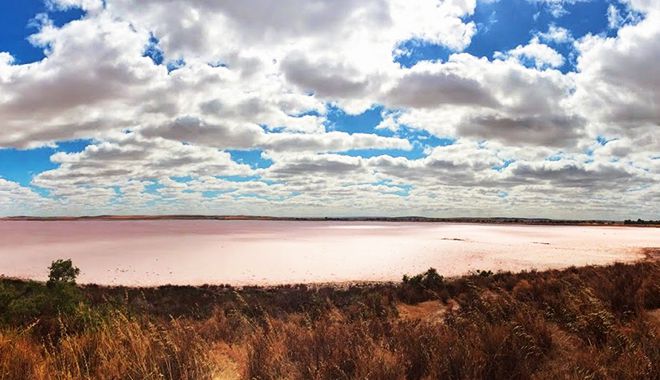Lake Bumbunga 5