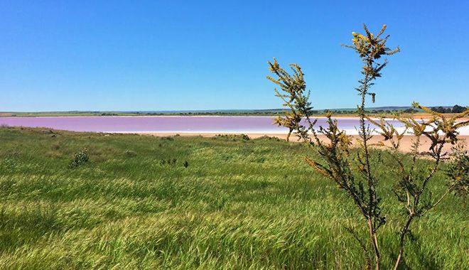 Lake Bumbunga 7