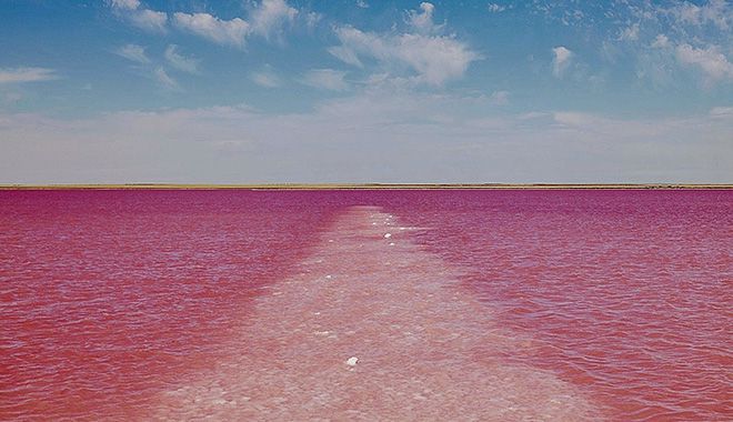 Lake Bumbunga 9