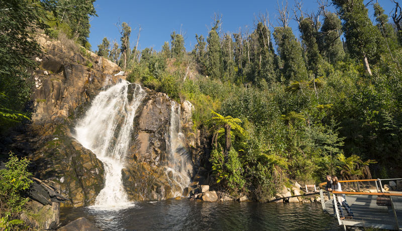 Steavenson Falls   Marysville