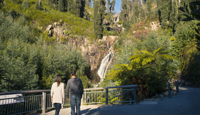 Steavenson Falls   Marysville