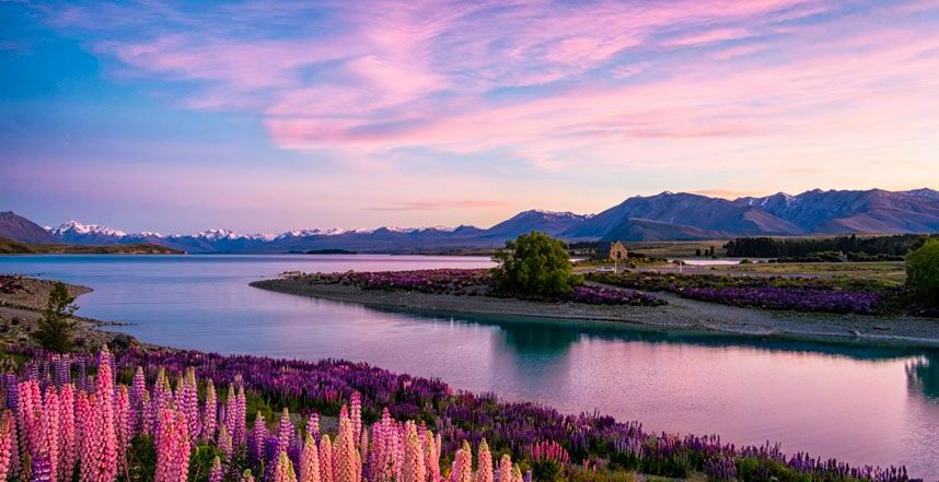 Lake Tekapo At Dawn New Zealand South