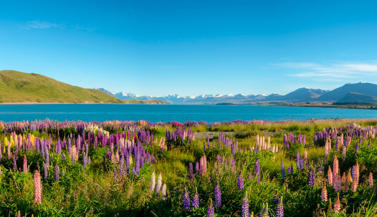 Lake Tekapo